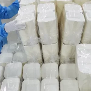 Biodegradable Compartment Lunch Box for Sustainable Food Storage