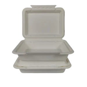 9x6inch lunch box disposable Sugarcane Bagasse Food Container Biodegradable Compostable