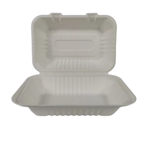 9x6inch lunch box disposable Sugarcane Bagasse Food Container Biodegradable Compostable