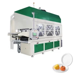 Disposable Biodegradable Paper Sugarcane Bagasse Pulp Moulded Cup Making Machine Fully Automatic Production Line