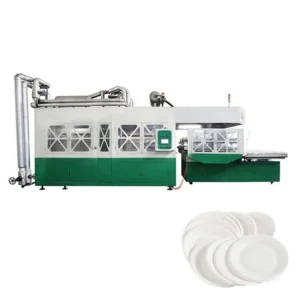 Disposable Sugarcane Bagasse Pulp Moulded Tableware Box Plate Cup Bowl Tray Fully Automatic Production Line