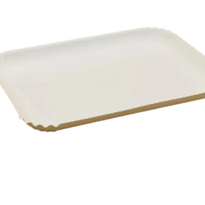 7.3*5.5inch tray disposable Sugarcane Bagasse Food Container Biodegradable Compostable