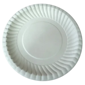 HB Round Plate 10inch  disposable Sugarcane Bagasse Food Container Biodegradable Compostable
