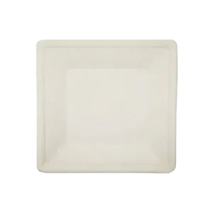 Square Plate 10inch disposable Sugarcane Bagasse Food Container Biodegradable Compostable
