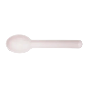 Spoon disposable Sugarcane Bagasse Food Container Biodegradable Compostable