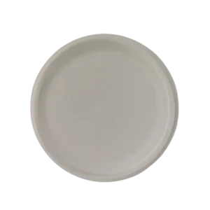 Round Plate 10inch  disposable Sugarcane Bagasse Food Container Biodegradable Compostable