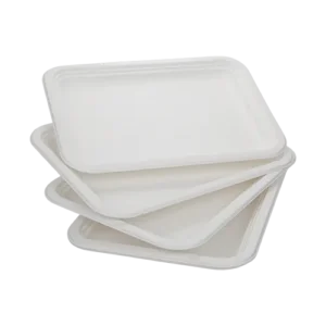 Meat plate 14"x10" Rectangle Plate disposable Sugarcane Bagasse Food Container Biodegradable Compostable