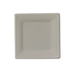 Square Plate 10inch disposable Sugarcane Bagasse Food Container Biodegradable Compostable