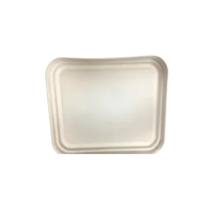 4 compartment box lid disposable Sugarcane Bagasse Food Container Biodegradable Compostable