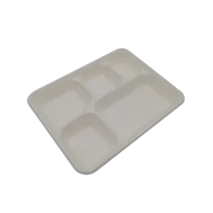 5 compartment box disposable Sugarcane Bagasse Food Container Biodegradable Compostable