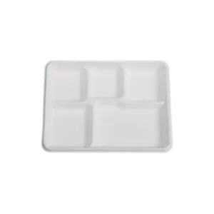 5 compartment tray disposable Sugarcane Bagasse Food Container Biodegradable Compostable