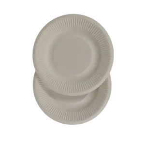 10-Inch Radiographic Focal Strip  disposableSugarcane Bagasse Food Container Biodegradable Compostable
