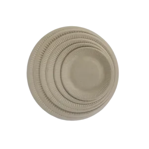 7-Inch Radiographic Focal Strip Type A disposable Sugarcane Bagasse Food Container Biodegradable Compostable