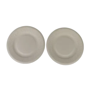 6-Inch Radiographic Focal Strip Type b disposable Sugarcane Bagasse Food Container Biodegradable Compostable