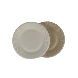 5-Inch Radiographic Focal Strip Type B disposable Sugarcane Bagasse Food Container Biodegradable Compostable