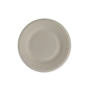 5-Inch Radiographic Focal Strip  Type A disposable Sugarcane Bagasse Food Container Biodegradable Compostable
