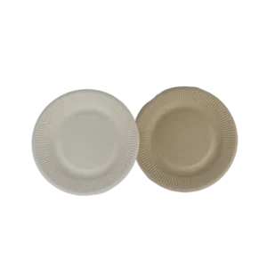 8-Inch Radiographic Focal Strip Type A disposable Sugarcane Bagasse Food Container Biodegradable Compostable